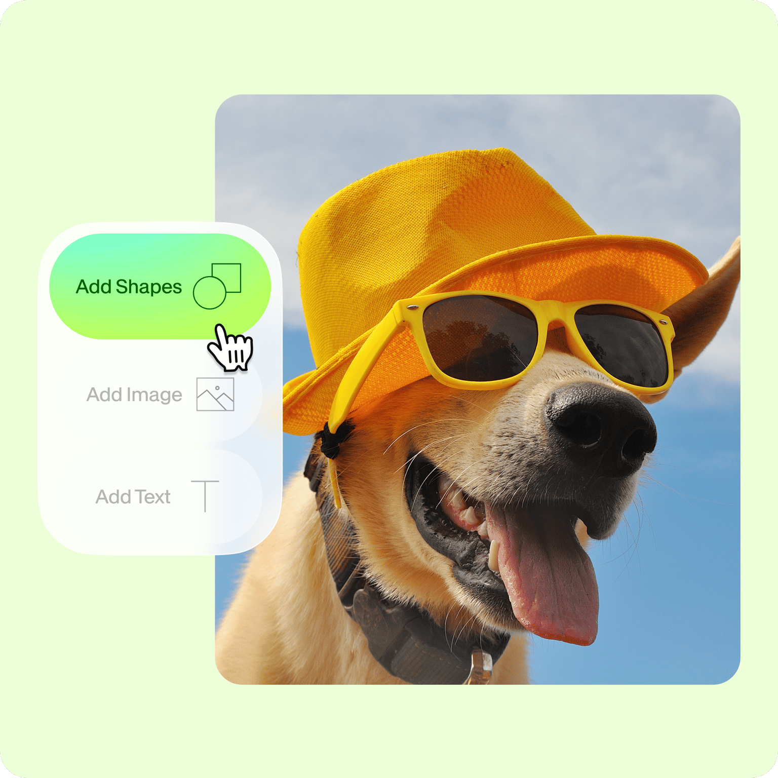 VEED editor interface showing Add Shape, Add Image, and Add Text controls with a dog wearing sunglasses and a yellow cap.