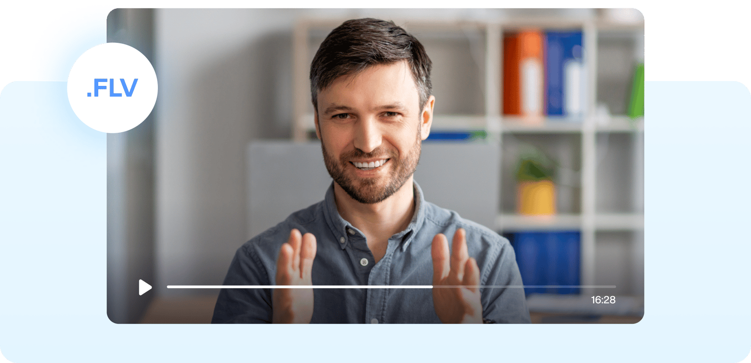 FLV Previewer
