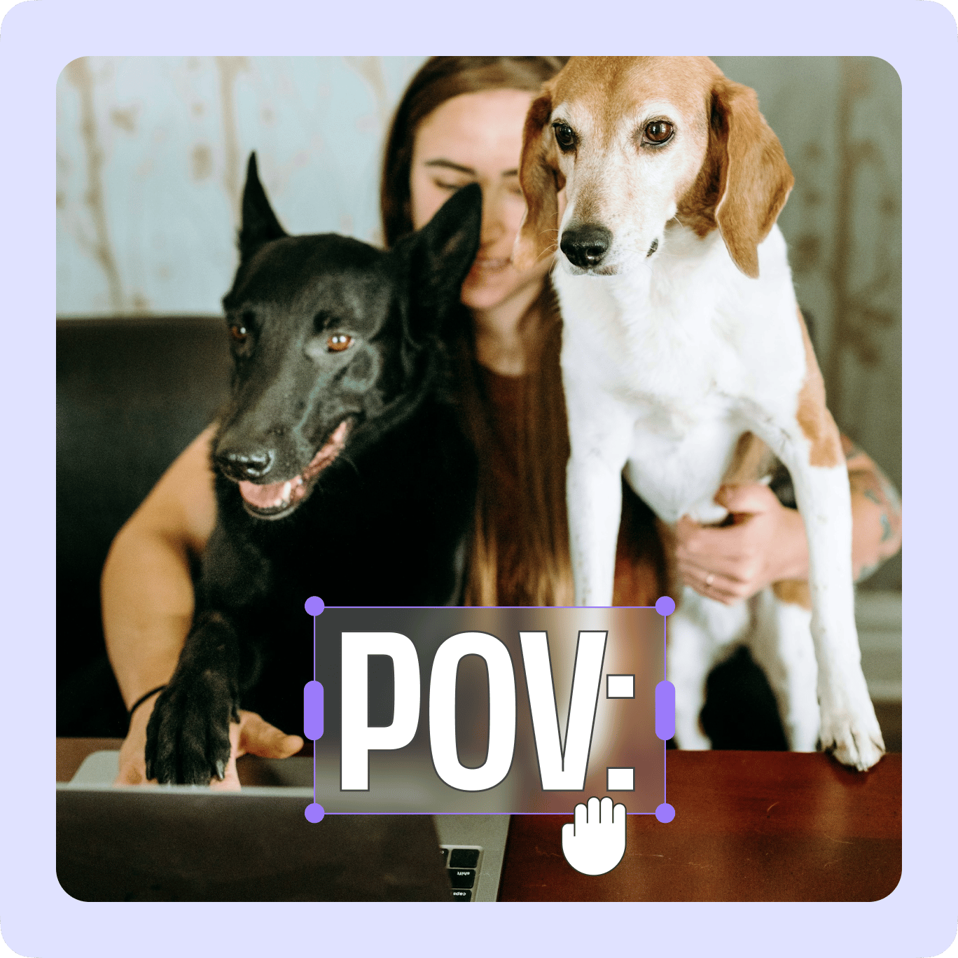 VEED's Meme Maker creating a POV: meme-style video featuring three dogs with a play button.