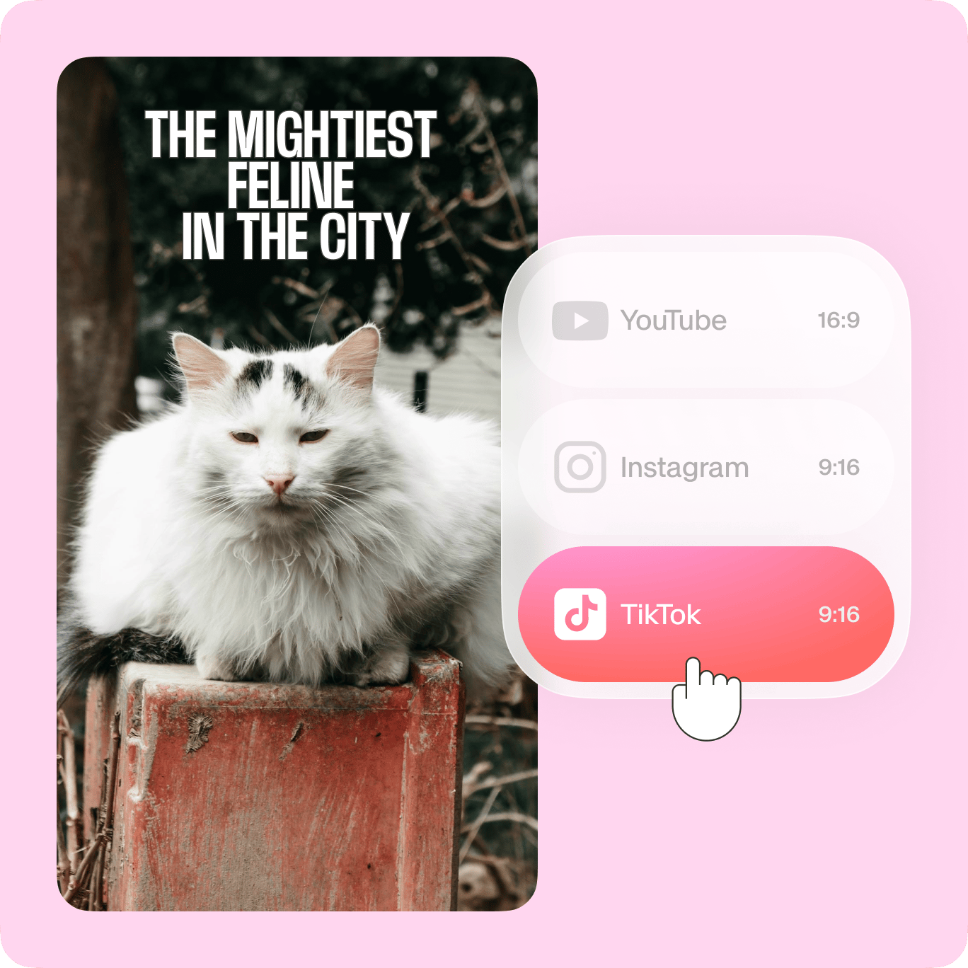 VEED's video sharing options displaying YouTube, Instagram, and TikTok buttons for cross-platform content distribution.